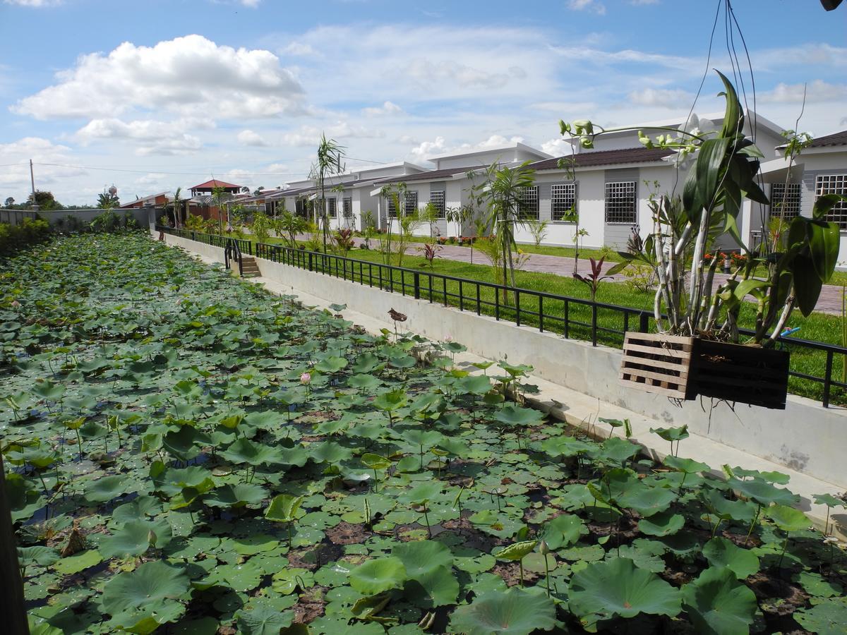 Ry'S Lotus Resort D'Angkor Ciudad de Siem Riep Exterior foto